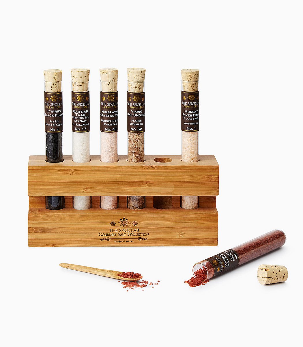 Interdum elit vestibulum - Le dénicheur du web