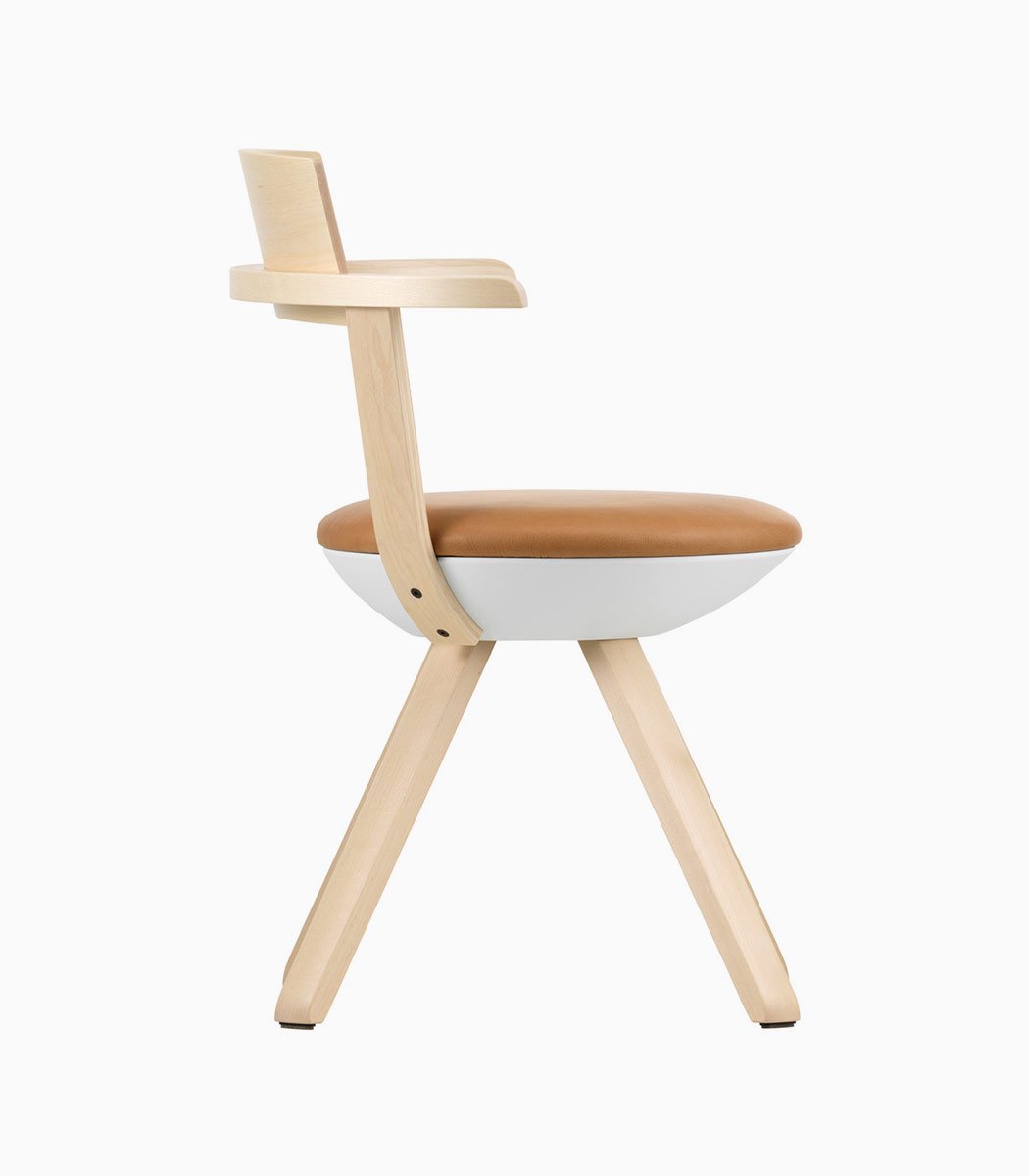 Natoque ligula amet - Le dénicheur du web