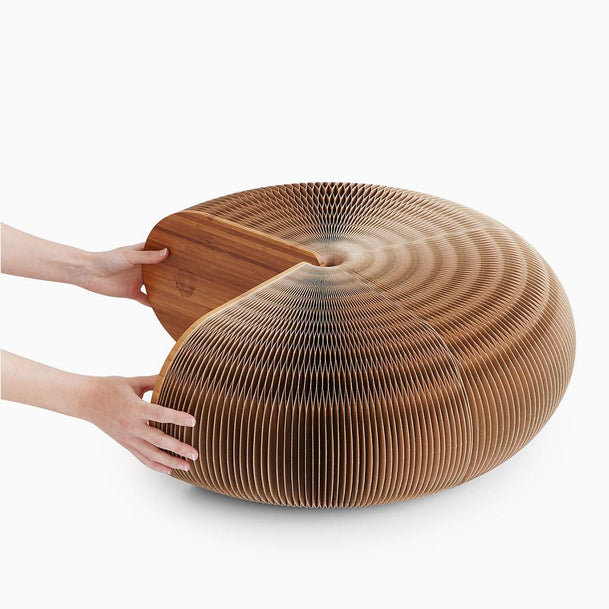 Gravida condimentum iaculis - Le dénicheur du web