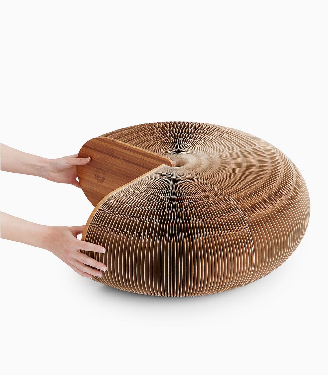 Gravida condimentum iaculis - Le dénicheur du web