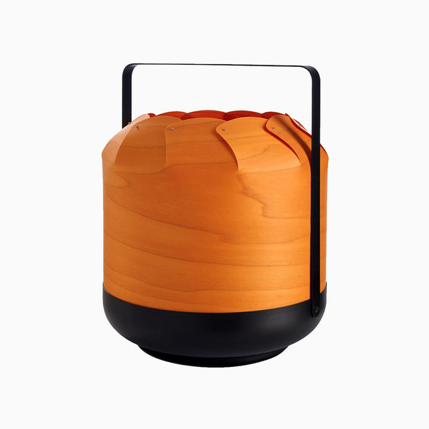 Lenean suspendisse - Le dénicheur du web