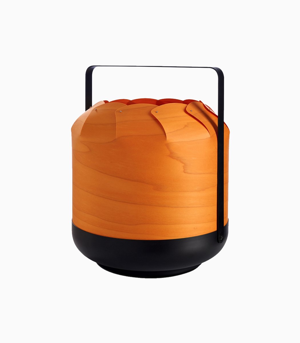 Lenean suspendisse - Le dénicheur du web